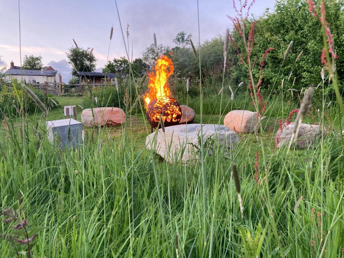 The Gin Palace With Cozy Logburner *