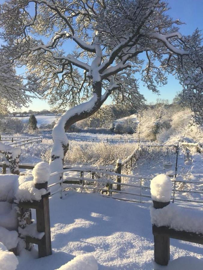 The Gin Palace With Cozy Logburner Holiday home Wrexham