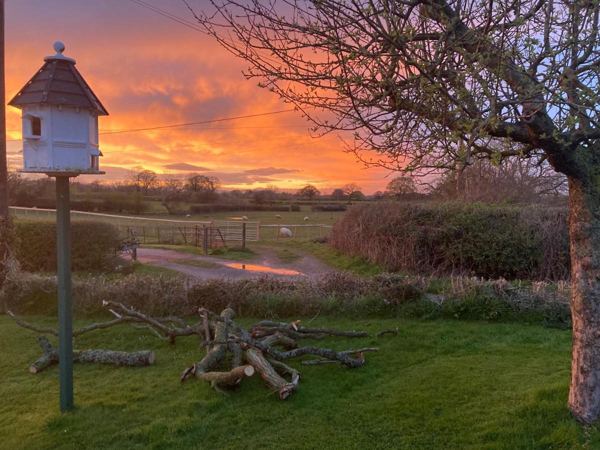 Holiday home The Gin Palace With Cozy Logburner