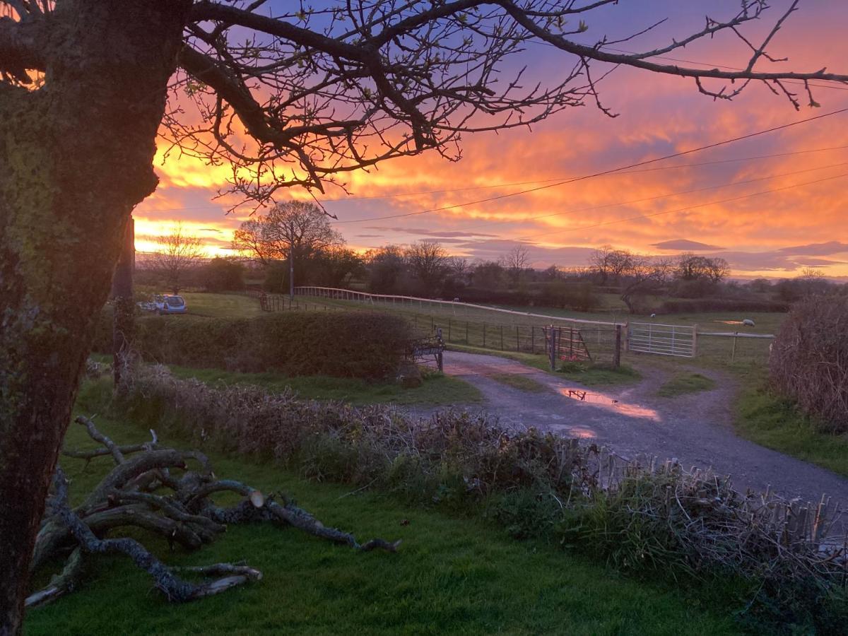 The Gin Palace With Cozy Logburner Holiday home Wrexham